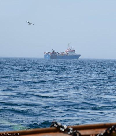 Georges Bank fishing vessel